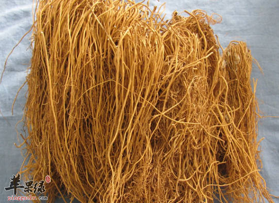 秋季感染风寒咳嗽服用细辛来化解  第4张