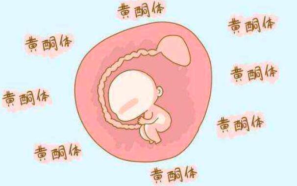 怀孕初期孕酮低怎么办_孕酮低的食疗方法