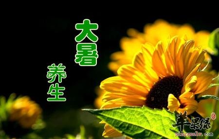 大暑节气养生好心情更重要  第4张