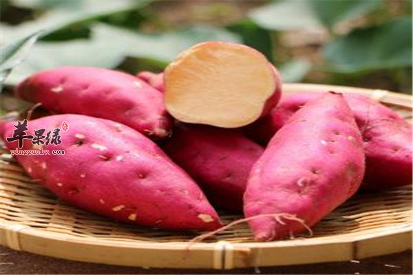 四种食物夏季清热祛暑是首选  第1张