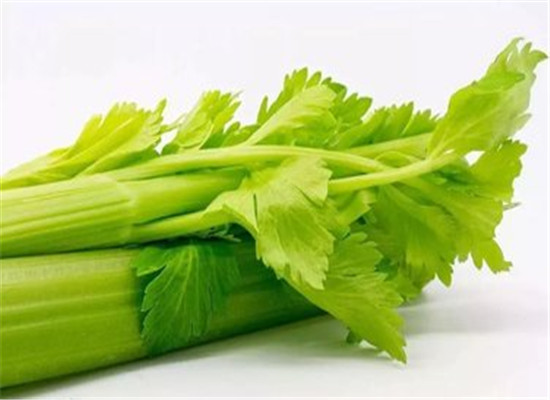 两种蔬菜夏季大暑保湿又补水  第3张