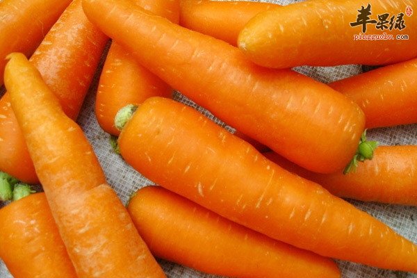 油腻食物吃多了就吃这些刮油菜  第1张