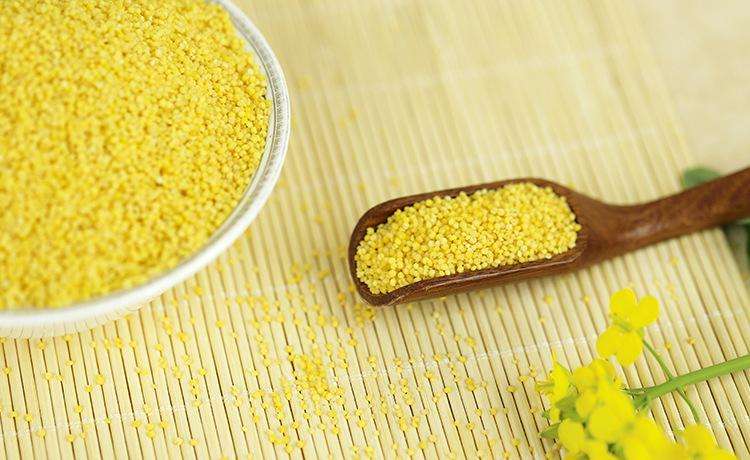 这些常见食物补气养血效果不错  第3张