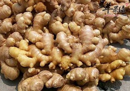 夏季要多吃姜 吃姜的好处众多  第3张