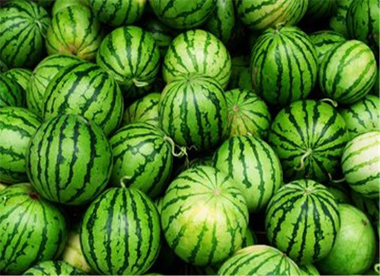 两种水果芒种节气去火气滋阴润燥  第3张