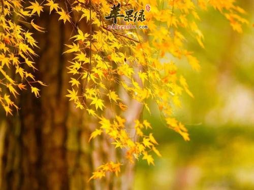 秋分节气有哪些习俗 你了解吗  第4张