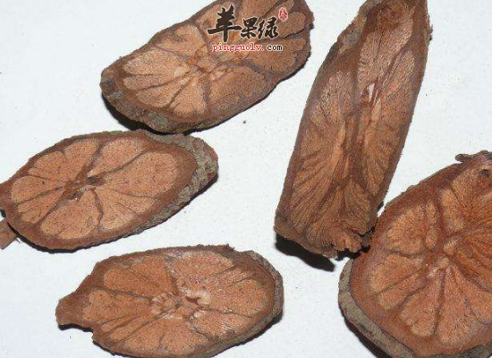 冬季散瘀止痛选用九龙藤效果好  第1张