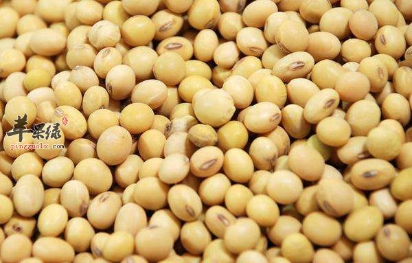 孕妇安胎可以多吃这些食物  第1张