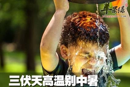 三伏天食疗 补充蛋白质吃这些  第3张