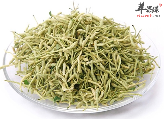 8月暑天喝金银花茶预防中暑感冒