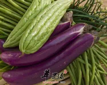 大暑养生吃什么 吃这几款食物能保健