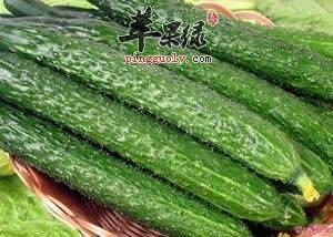 处暑天气干燥要吃瓜 推荐吃这些养生  第3张