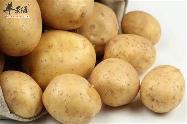 冬季能够补气的三种食物不能少  第4张