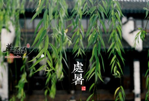 处暑养生