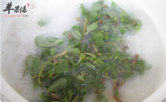 可以辅助治疗白带异常的食疗方