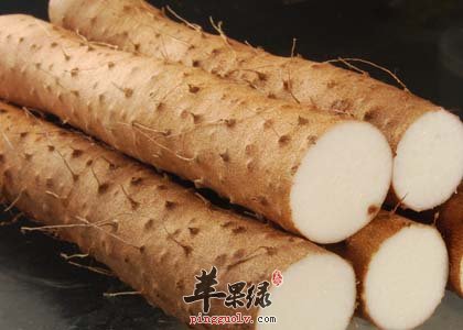 寒露养生怎么吃 这些食物不能少  第1张