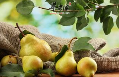 9月秋分时节更要多吃酸性水果  第3张