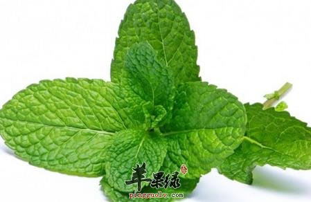 女性生理期可以吃薄荷吗 来看详解