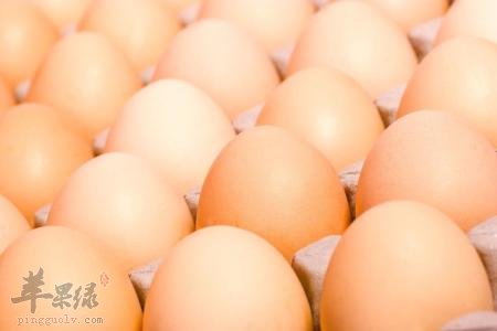 青少年春季吃什么补脑  第4张