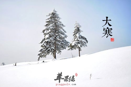 大寒养生  第1张