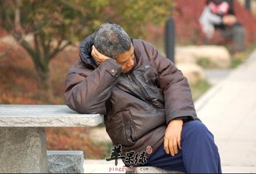 为大家分享一些养生提神的茶  第1张