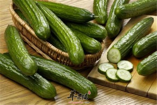适合芒种节气食用的三种食物  第1张