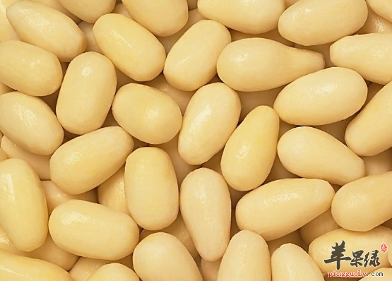男性压力过大可以吃哪些食物