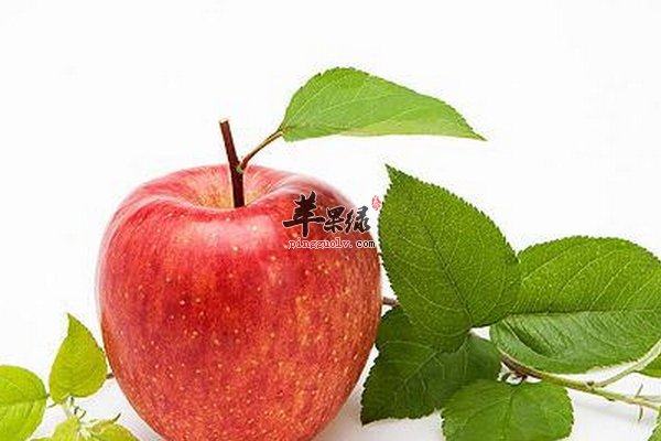 春季减肥吃什么  第1张