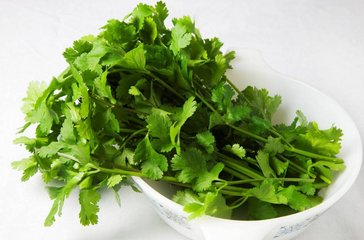  青少年吃什么保护视力 香菜和菊花 第3张