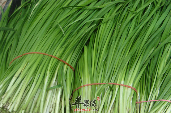 三种适合惊蛰时节食用的蔬菜推荐  第1张