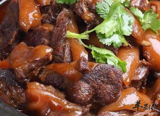 冬季吃狗肉好处和禁忌分析  第4张