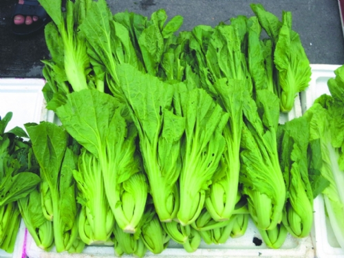 孕妇能吃芥菜吗_孕妇吃芥菜对胎儿好吗_孕妇吃芥菜怎么做好吃_能吃芥菜头吗_能吃芥菜饺子吗