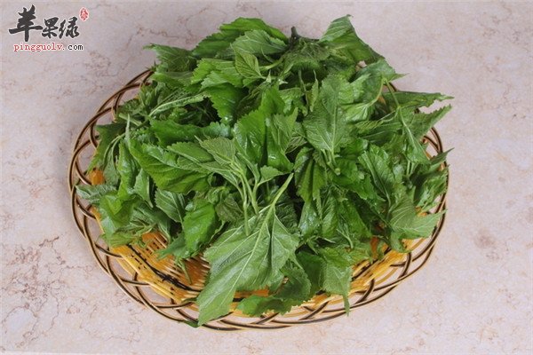 桑叶能降血糖 这样食用更有益