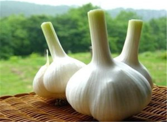 女性春季保养必备的几种食物  第3张