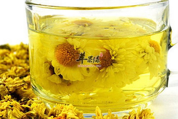 春季养生喝菊花茶 菊花茶的好处  第1张
