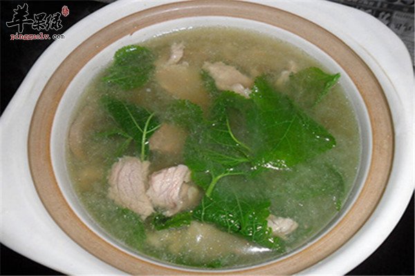 桑叶能吃吗 这样食用美容又护肤
