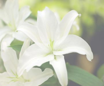 谷雨节气不同体质的养生方法  第1张