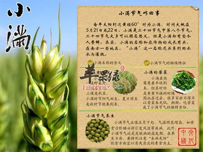小满养生大汇总！  第1张