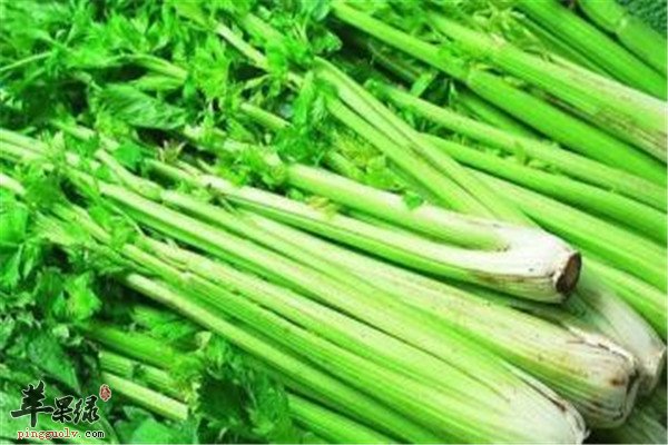 三种食材缓解惊蛰时节春燥问题  第1张