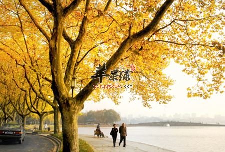 白露天气变化大 注意细节来养生  第1张