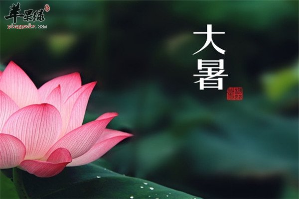 大暑节气养生的三大禁忌要明白  第2张