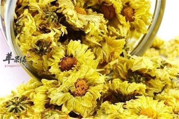 春季上火犯困 两款茶品来调理  第1张