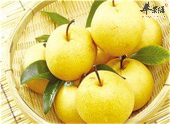 霜降节气不能少的滋阴润燥食材  第1张