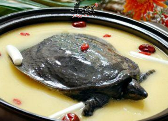 改善男性滑精的三道食疗方推荐