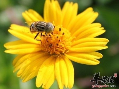 春季易患眼病 常见病应该这样防治  第1张