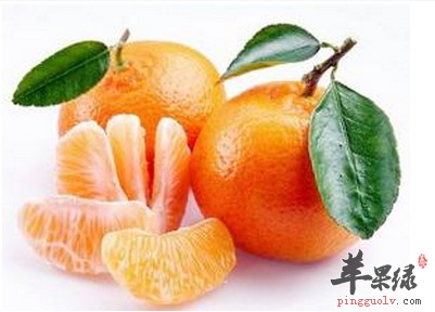 9月秋分时节更要多吃酸性水果  第2张