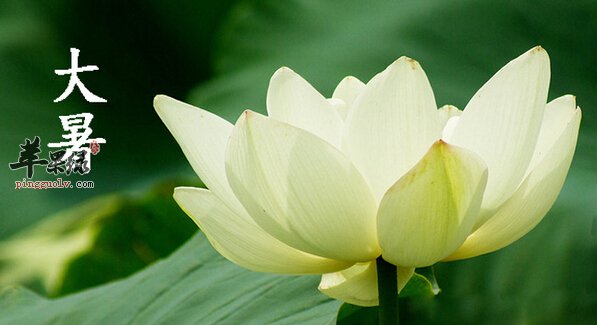 大暑是几月几日  第2张