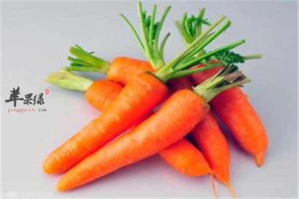 冬季滋补吃什么蔬菜 推荐以下三种  第4张