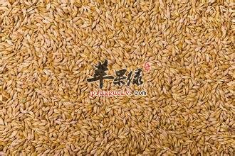 消化不好的老年人可以吃哪些食物  第1张