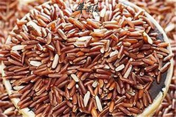春季气血不足不能少的养血食物  第1张
